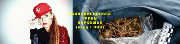 дурь Аркадак